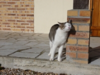 Zoom
