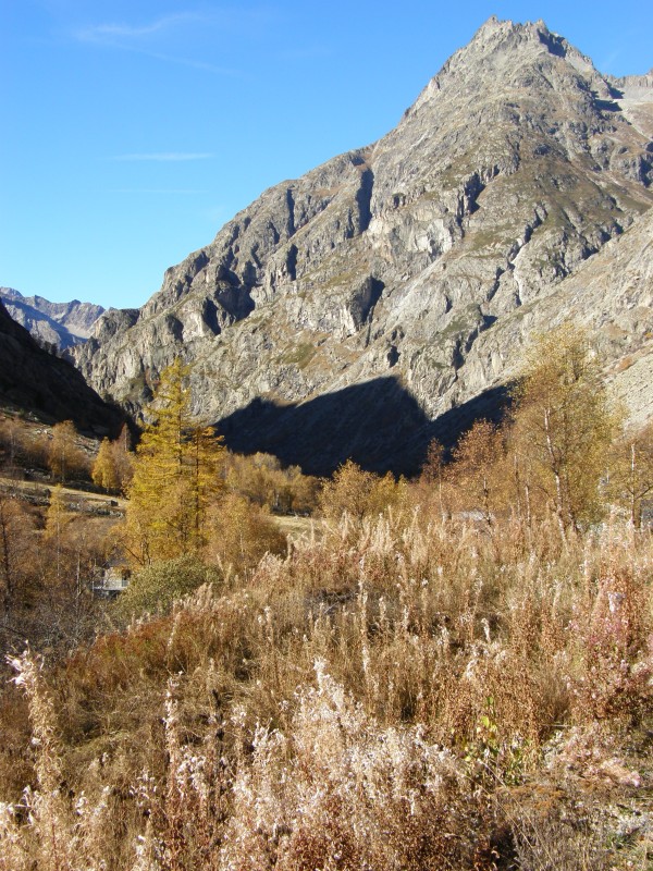 image ./2007-11-04_-_vall_e_du_v_n_on/pb040393_jpg.jpeg