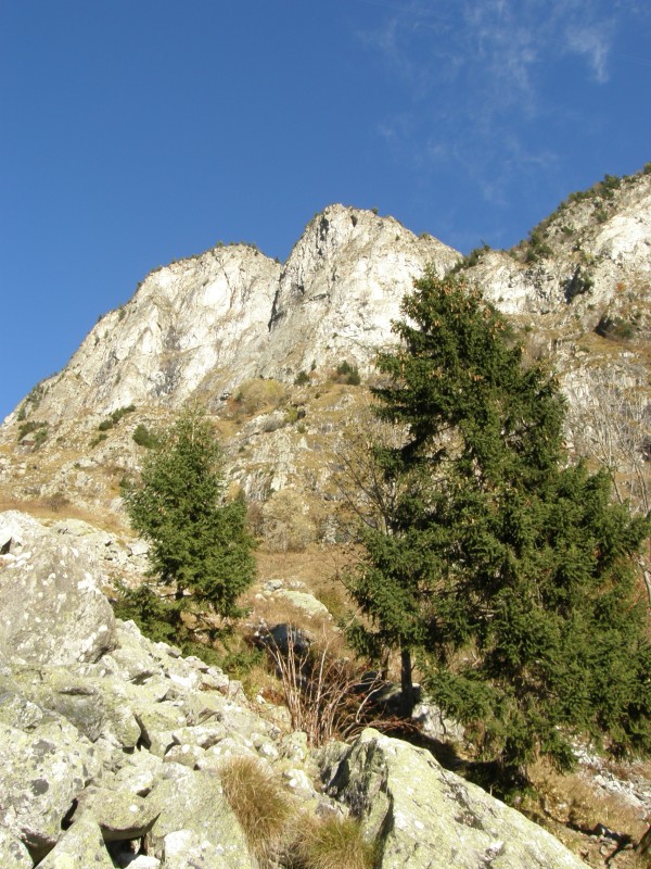 image ./10/pb020153_jpg.jpeg