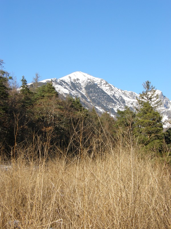 image ./10/p1010190_jpg.jpeg