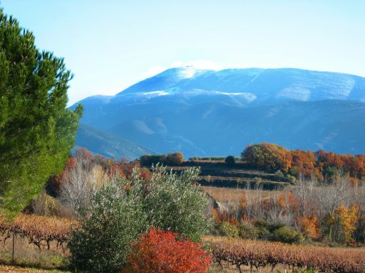 images/montagnes/neige_ventoux.jpg