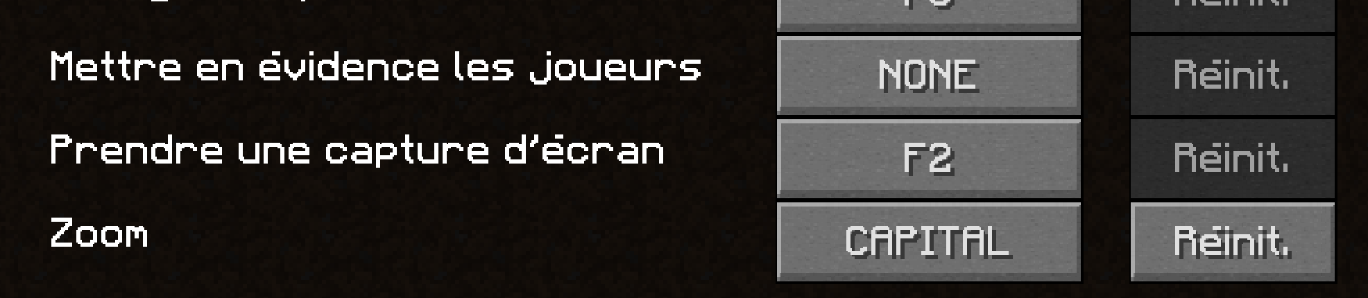 capture d'écran dans les options de minecraft pour changer la touche de zoom