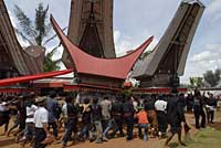 Toraja funeral funrailles Sulawesi Celebes Indonsie Indonesia