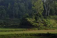 Toraja Rantepao Sulawesi Celebes Indonsie Indonesia