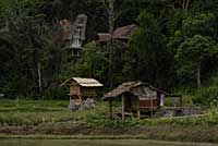 Toraja Rantepao Sulawesi Celebes Indonsie Indonesia