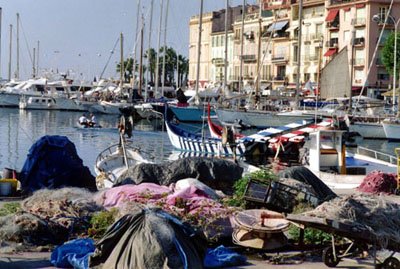 vieux port de Cannes