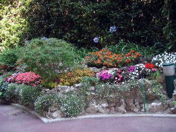 A view of the garden -  click on the image to increase it