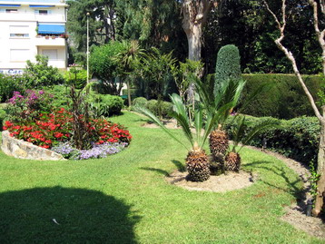 A view of the garden - click on the image to increase it