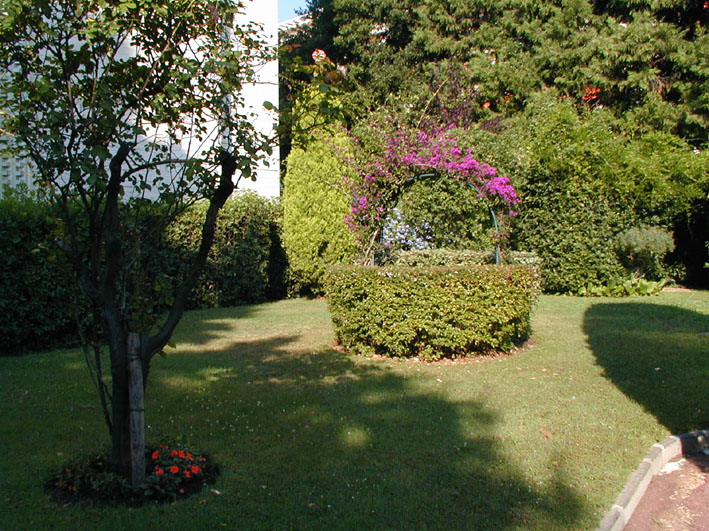 A view of the garden - click on the image to increase it