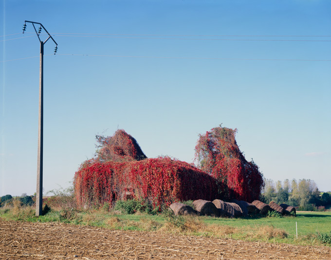 Blockhaus rouge verso