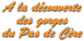 Bonjour mes amis !