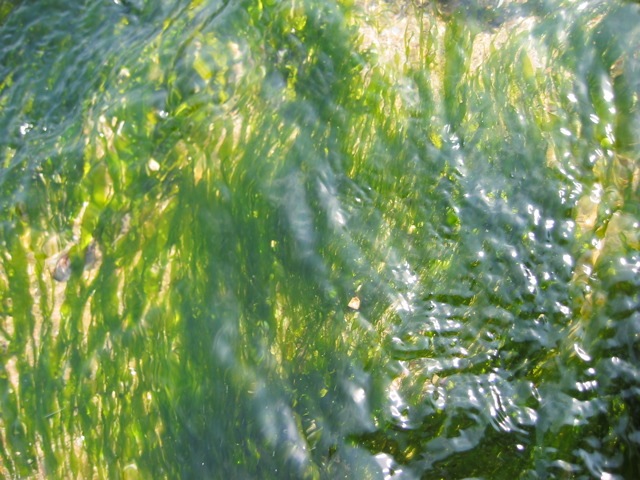 Loading Image