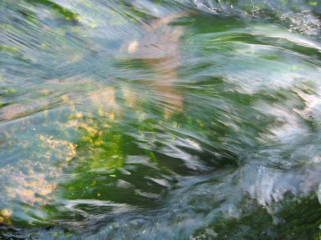 Loading Image