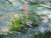 eau