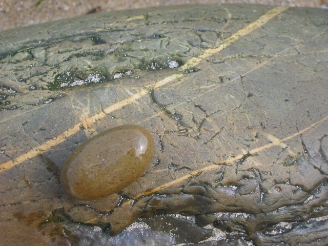 Loading Image