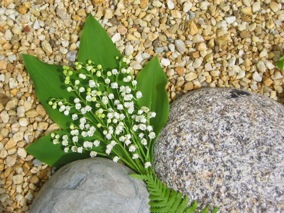 muguet parfumé