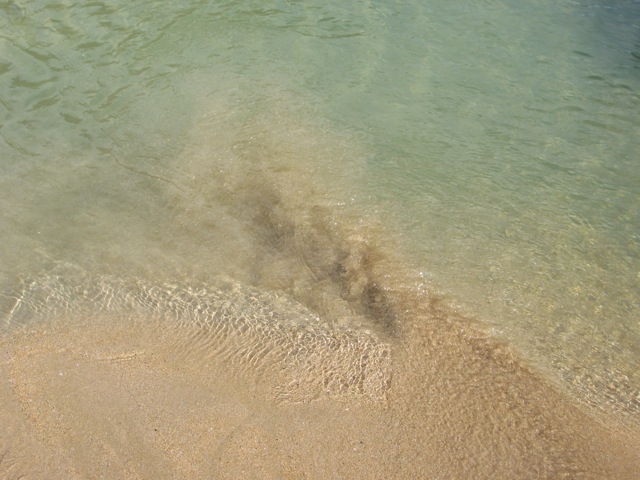 Loading Image