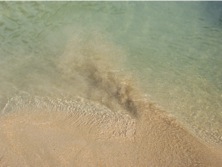 IMG_1167.JPG