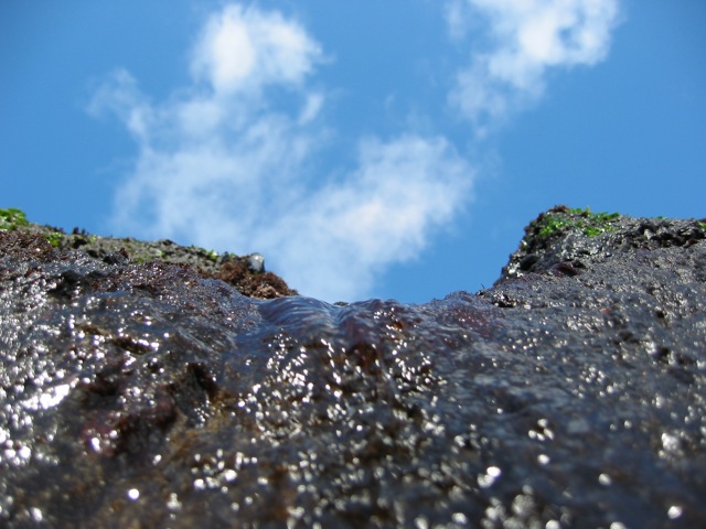 Loading Image