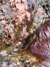 IMG_1202.JPG