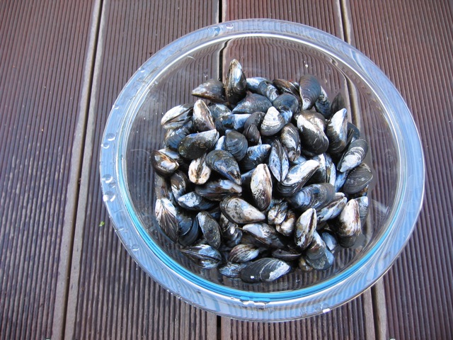 Loading Image