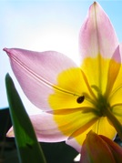 IMG_1423.JPG copie