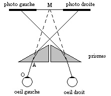 vision  avec prismes