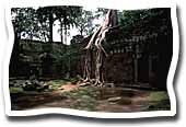 Ta Phrom