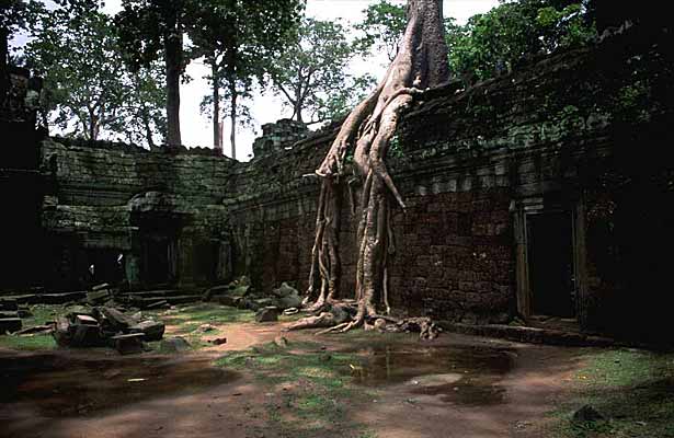 Ta Phrom