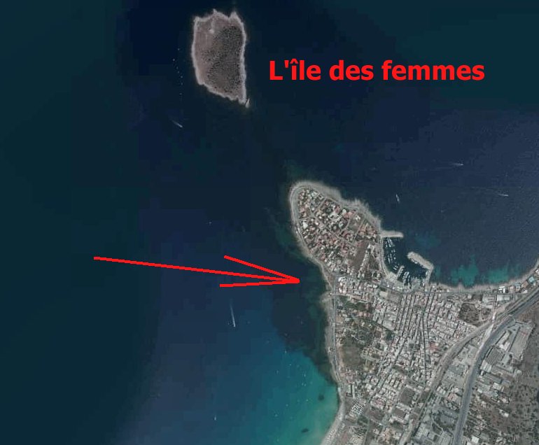 femmes