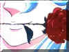 aph-ss05.jpg (6492 octets)
