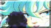 aph-ss1k.jpg (18127 octets)