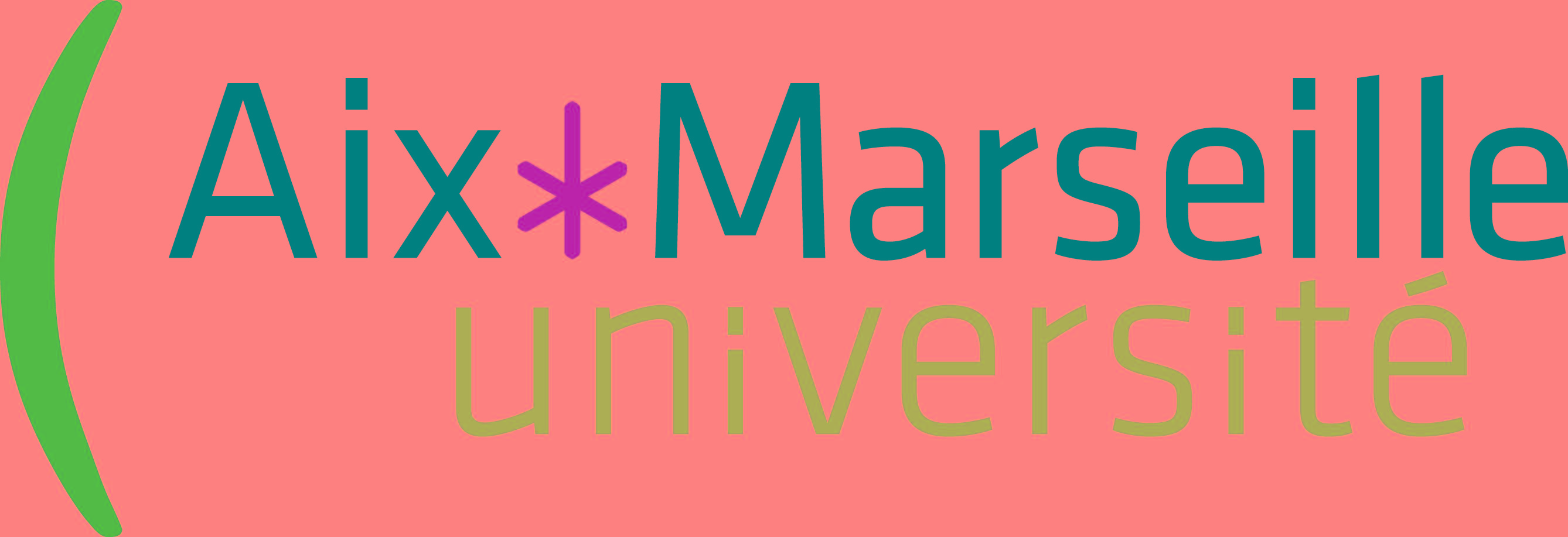 Logo AMU