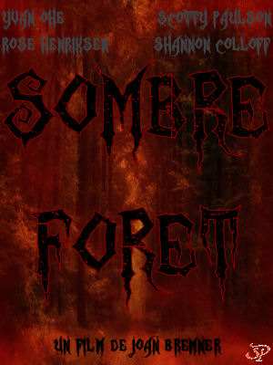 Sombre fort