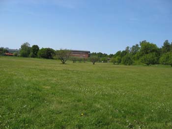 stockholm10