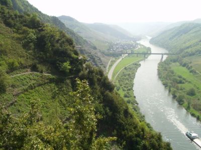 Calmont : vue sur Ediger - Eller & la Moselle