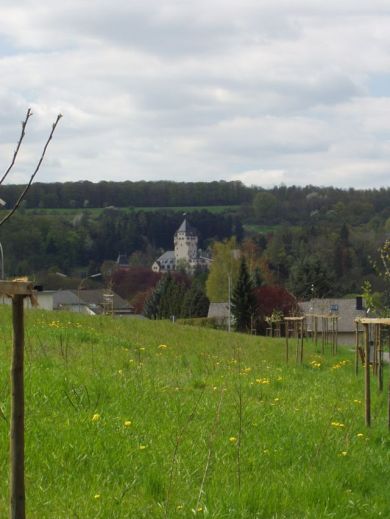 Château de Colmar Berg