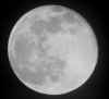 Pleine Lune - 27.12.2004 - Canon A70 - 400 ISO, f/d 8 - IRIS luminosit -32   (311 Ko)