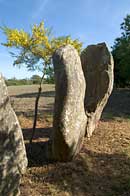 menhir,calvaire breton,abbaye,Champ des Roches,Pleslin, Kerzerho,alignement,mgalithe,Erdeven