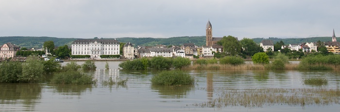 Rhine