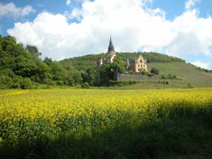 Castle near Linz