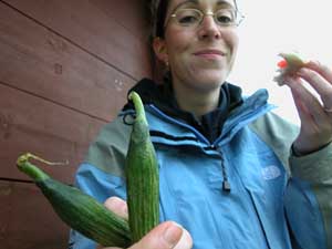 isa with Bashars little cucumbers