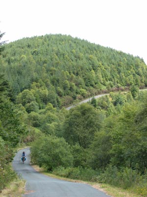 cycling through the woods