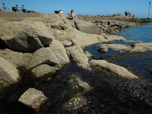 barfleur harbour