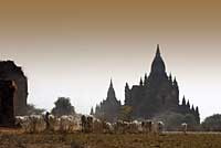 Bagan, Myanmar, Birmanie