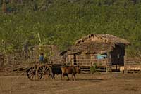 Kinn Pun, Birmanie, Burma, Myanmar