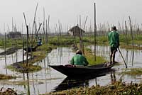 Lac Inle, Inle lake, Nyaungshwe