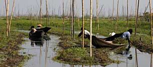 Lac Inle, Inle lake, Nyaungshwe, Alain Diveu