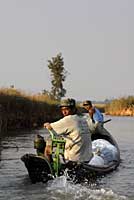 Lac Inle, Inle lake, Nyaungshwe