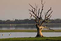 Mandalay,Amarapura,Inwa,Mingun,Pont U Bein,bridge,Sagaing